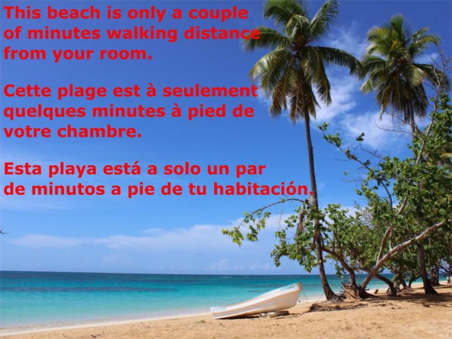 Dream Glamping Jungle Bohio Hotel Las Terrenas Exterior foto