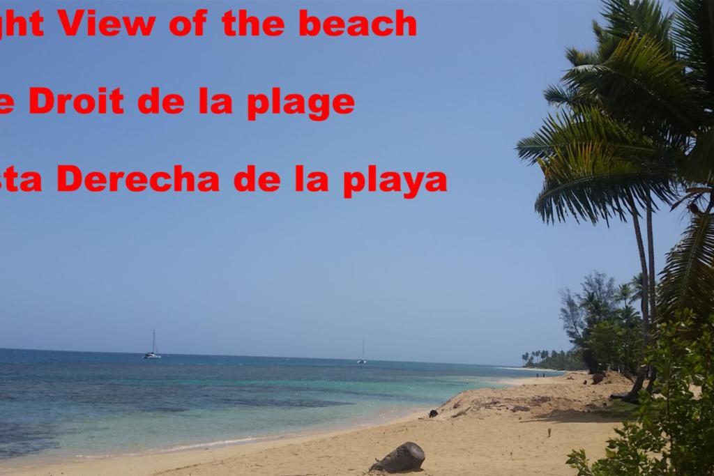 Dream Glamping Jungle Bohio Hotel Las Terrenas Exterior foto