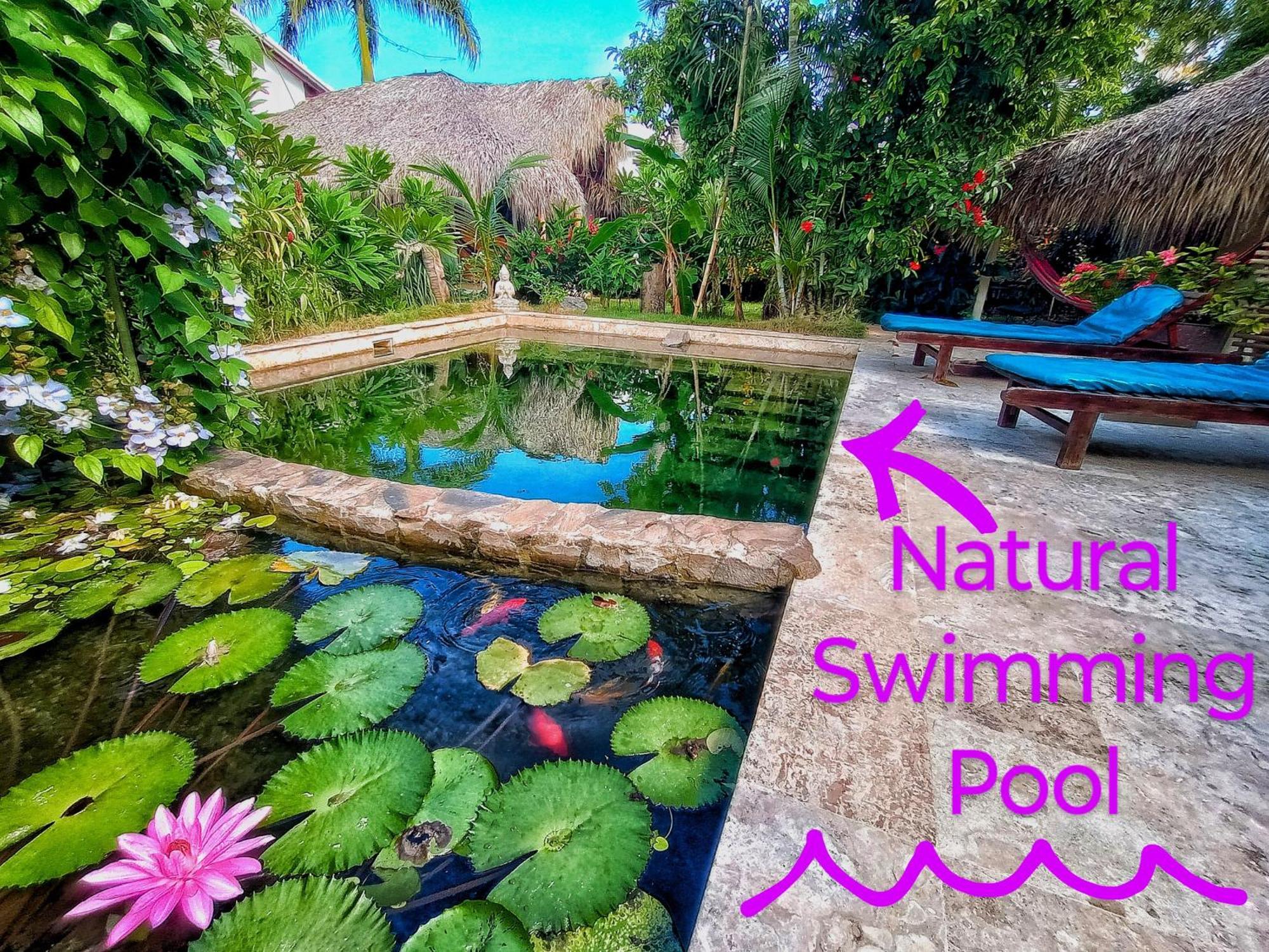 Dream Glamping Jungle Bohio Hotel Las Terrenas Exterior foto