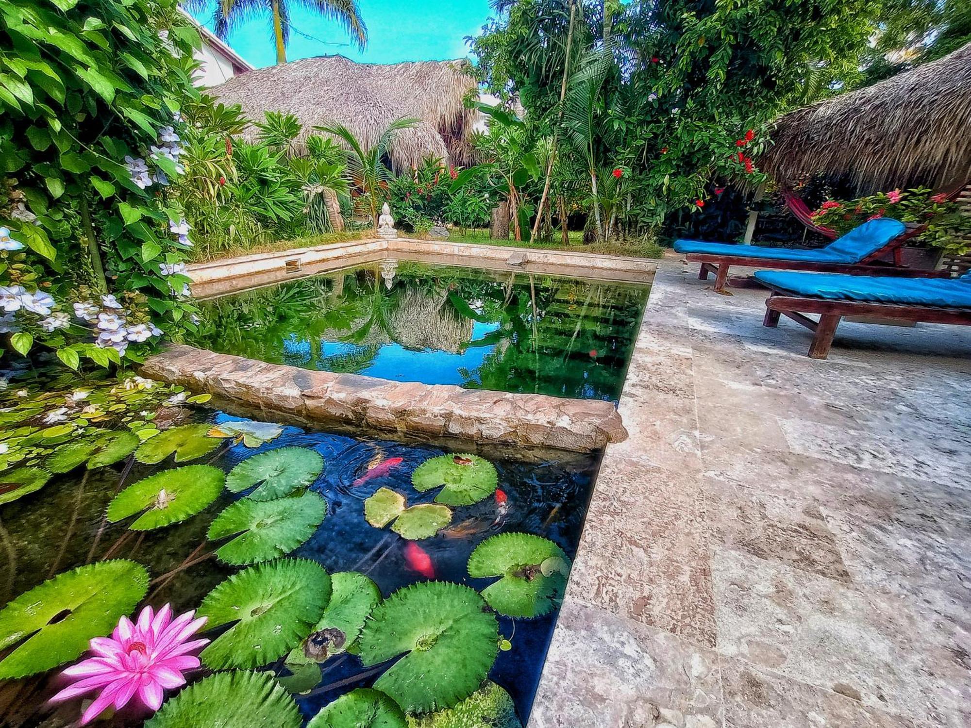 Dream Glamping Jungle Bohio Hotel Las Terrenas Exterior foto