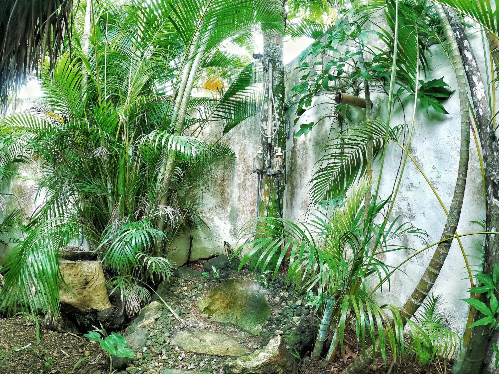 Dream Glamping Jungle Bohio Hotel Las Terrenas Exterior foto