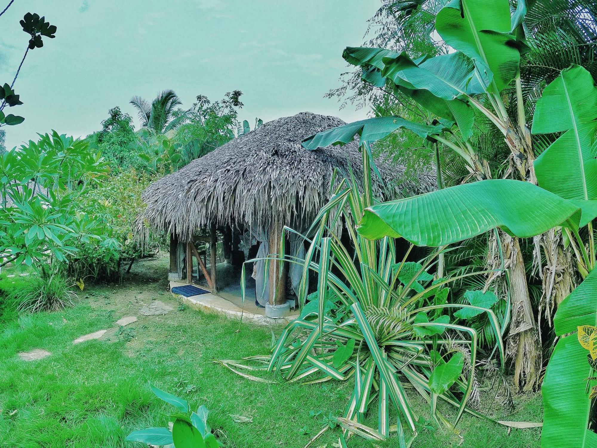 Dream Glamping Jungle Bohio Hotel Las Terrenas Exterior foto
