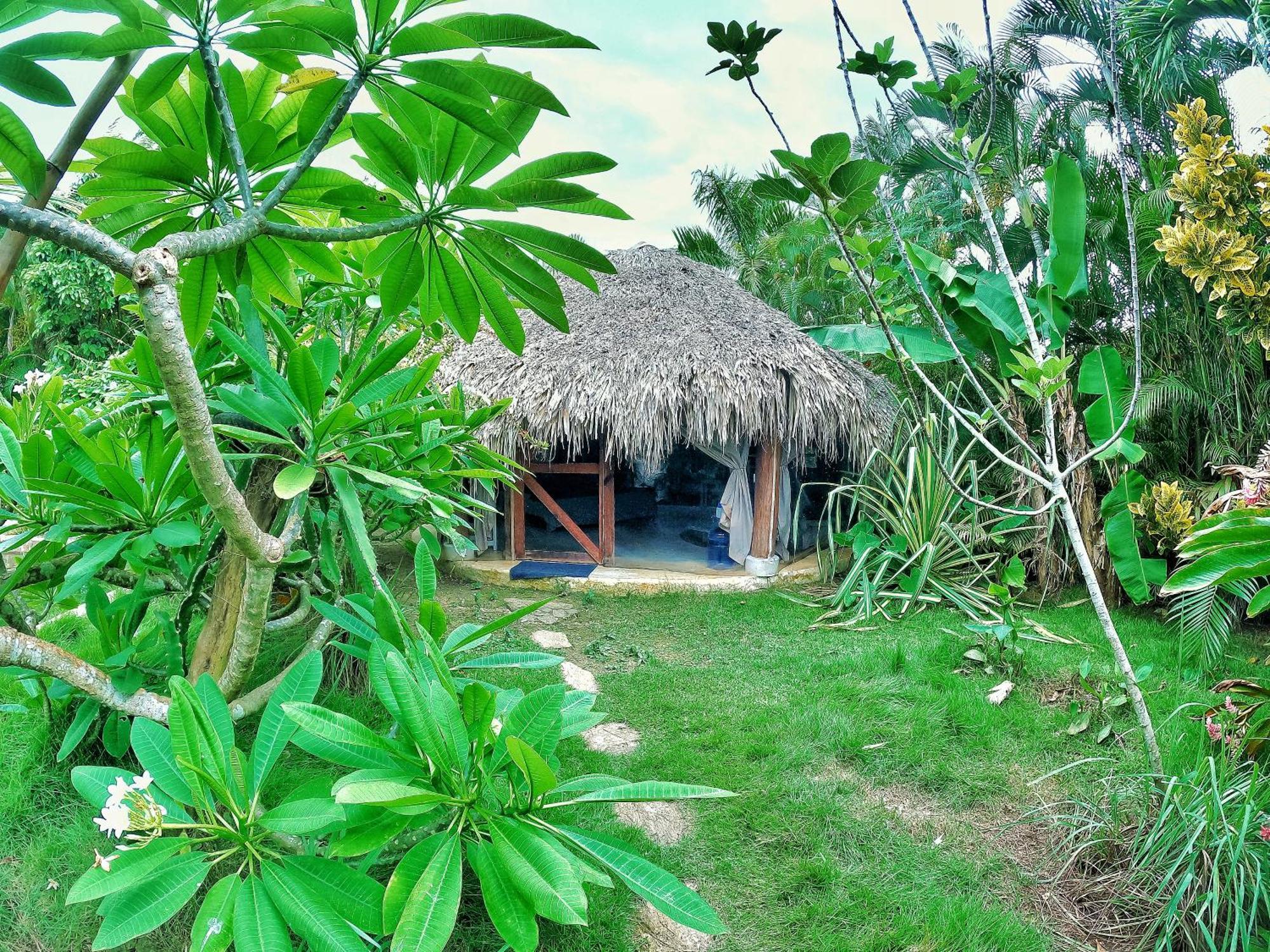 Dream Glamping Jungle Bohio Hotel Las Terrenas Exterior foto