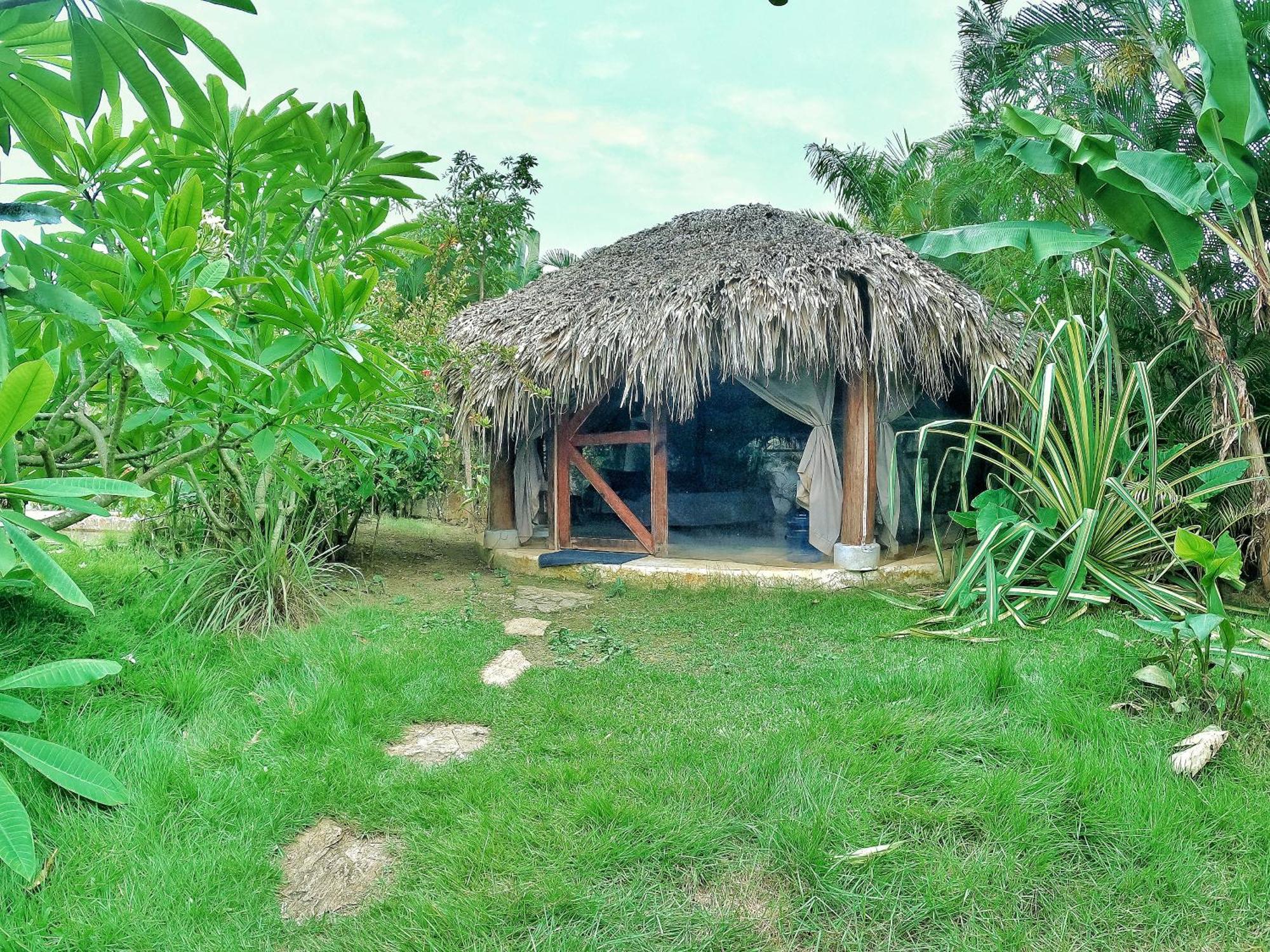 Dream Glamping Jungle Bohio Hotel Las Terrenas Exterior foto
